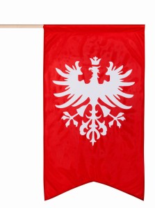 Flaga Powstania Wielkopolskiego