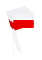 Projekt bez nazwy (5).png