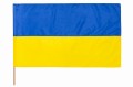 flaga ukr.jpg